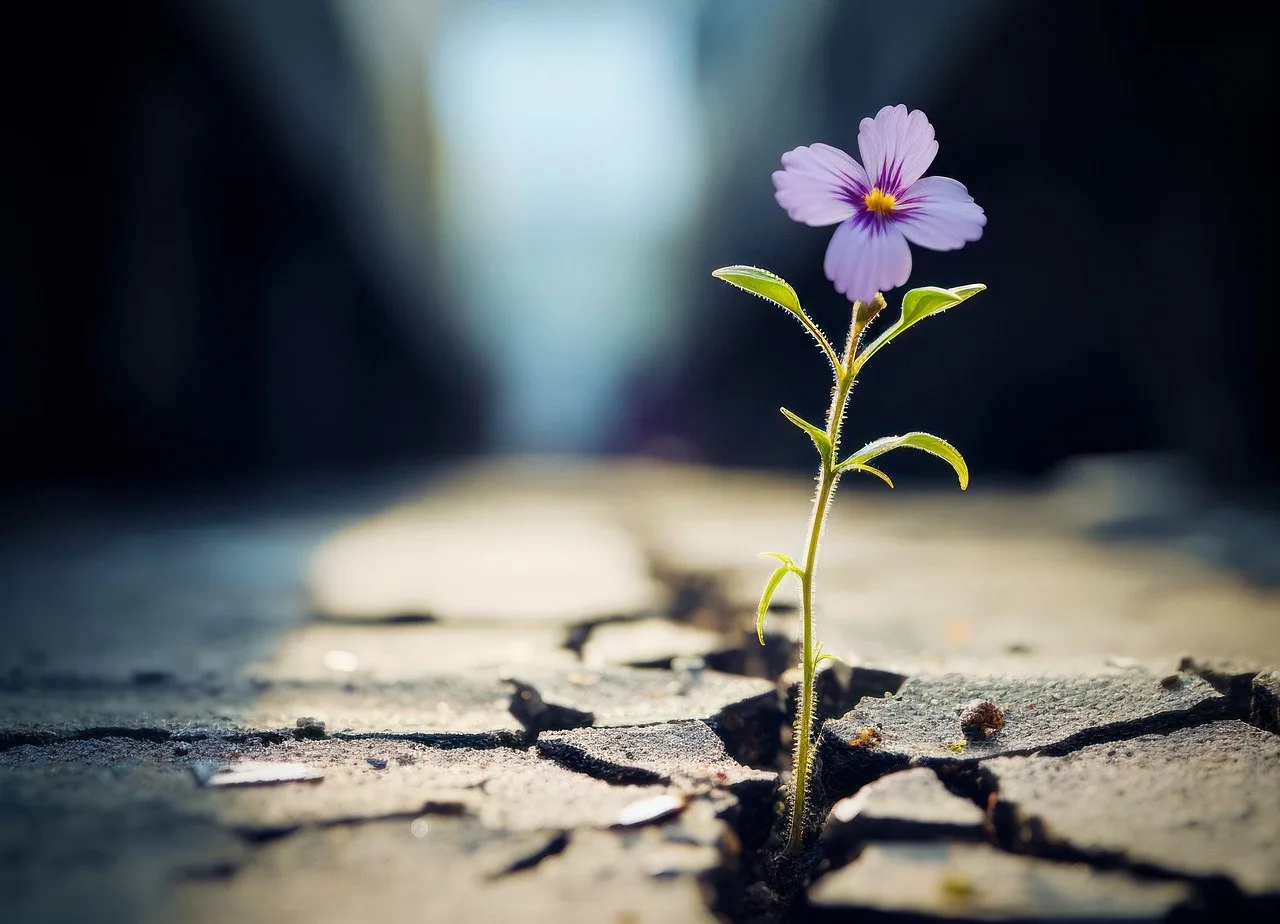 Resilience And Optimism: Keys To Thriving In The Face Of Hardship